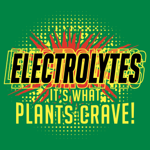 electrolytes-newthumb